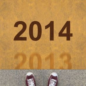 Out with 2013 in with 2014, 2013 Fundraising Reflections, 2013 Accomplishments